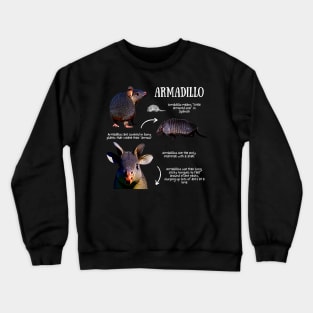 Armadillo Fun Facts Crewneck Sweatshirt